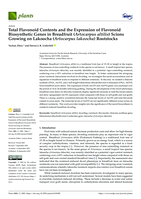 Total Flavonoid Contents and the Expression of Flavonoid Biosynthetic Genes in Breadfruit (Artocarpus altilis) Scions Growing on Lakoocha (Artocarpus lakoocha) Rootstocks