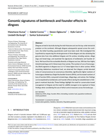 Genomic signatures of bottleneck and founder effects in dingoes