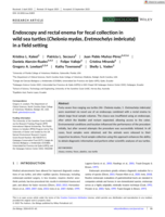 Endoscopy and rectal enema for fecal collection in wild sea turtles (Chelonia mydas , Eretmochelys imbricata) in a field setting
