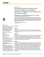 Enhanced Visualization of Subtle Outer Retinal Pathology by En Face Optical Coherence Tomography and Correlation with Multi-Modal Imaging