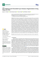 OCT Retinal and Choroidal Layer Instance Segmentation Using Mask R-CNN