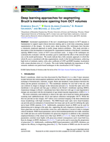 Deep learning approaches for segmenting Bruch’s membrane opening from OCT volumes