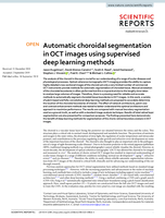 Automatic choroidal segmentation in OCT images using supervised deep learning methods