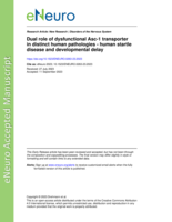 Dual role of dysfunctional Asc-1 transporter in distinct human pathologies - human startle disease and developmental delay