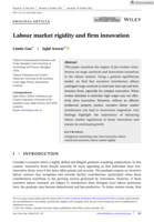 Labour market rigidity and firm innovation