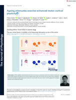 Ageing attenuates exercise‐enhanced motor cortical plasticity