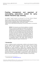 Feeding management and appraisal of recirculating aquaculture system for spiny lobster Panulirus spp. weaning