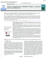 Lentiviral Transduction-based CRISPR/Cas9 Editing of Schistosoma mansoni Acetylcholinesterase