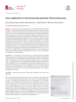 Virus replication in the honey bee parasite, Varroa destructor