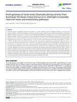 Draft genomes of novel avian Chlamydia abortus strains from Australian Torresian crows (Corvus orru) shed light on possible reservoir hosts and evolutionary pathways