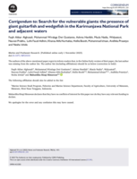 Search for the vulnerable giants: the presence of giant guitarfish and wedgefish in the Karimunjawa National Park and adjacent waters