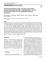Understanding Wellbeing Profiles According to White Matter Structural Connectivity Sub-types in Early Adolescents: The First Hundred Brains Cohort from the Longitudinal Adolescent Brain Study