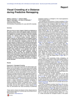 Visual Crowding at a Distance during Predictive Remapping