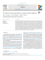 The influence of natural image statistics on upright orientation judgements