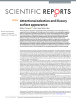 Attentional selection and illusory surface appearance