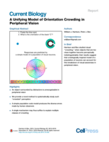A Unifying Model of Orientation Crowding in Peripheral Vision
