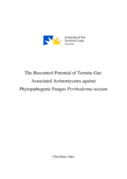The Biocontrol Potential of Termite-gut-associated Actinomycetes against Phytopathogenic Fungus Pyrrhoderma noxium