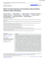 Effect of marine heatwaves and warming on kelp microbiota influence trophic interactions